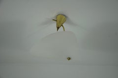 Mid-Century Brass and Acrylic Glass Ceiling Lamp, 1950s, Germany