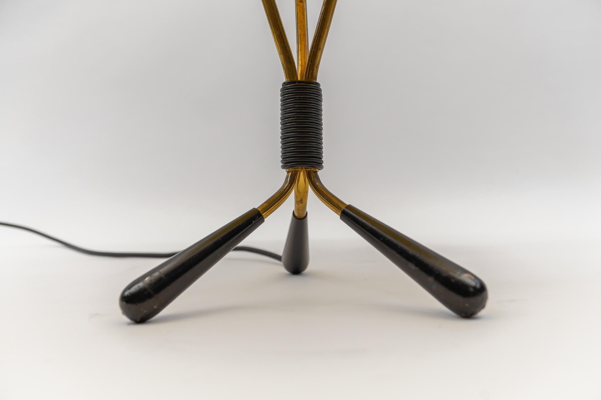 Mid-Century Brass and Fiberglass Table Lamp, 1950s For Sale 3