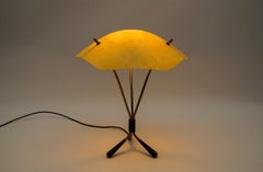 Mid-Century Brass and Fiberglass Table Lamp, 1950s