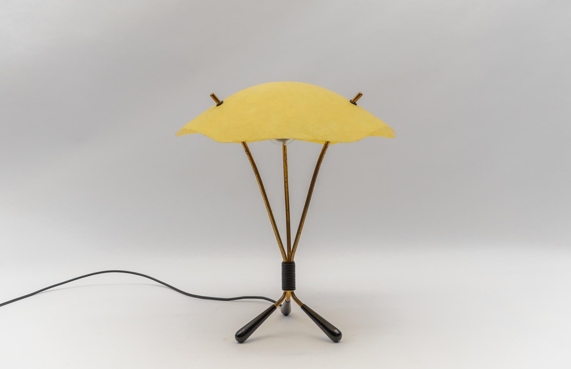 Mid-20th Century Mid-Century Brass and Fiberglass Table Lamp, 1950s For Sale
