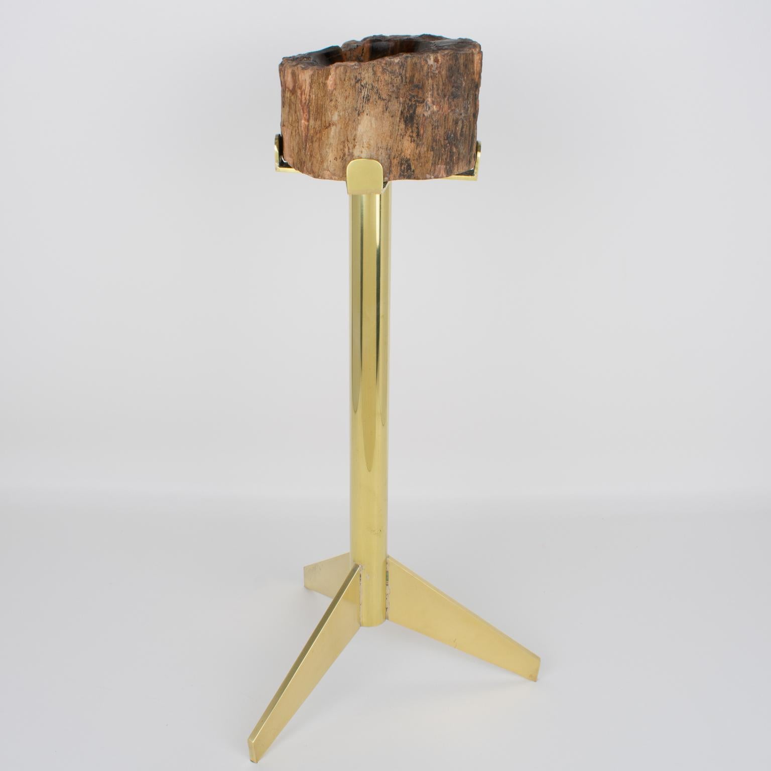 Aschenbecher Vide Poche Beistelltisch aus Messing und versteinertem Holz aus der Jahrhundertmitte, um 1960 (Moderne der Mitte des Jahrhunderts) im Angebot