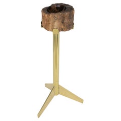 Aschenbecher Vide Poche Beistelltisch aus Messing und versteinertem Holz aus der Jahrhundertmitte, um 1960