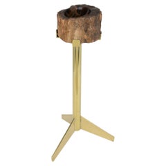 Mid-Century Brass and Petrified Wood Ashtray Vide Poche Side Table, circa 1960