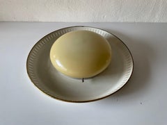 Mid-Century Brass Disc and Glass Flush Mount Light by Hillebrand, 1950s, Germany