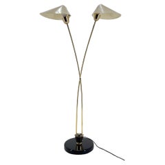 Mid-century Brass Floor Lamp by Napako, 1960s