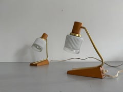Mid-Century Brass & Wood Pair of Bedside Lamps, 1960s, Germany