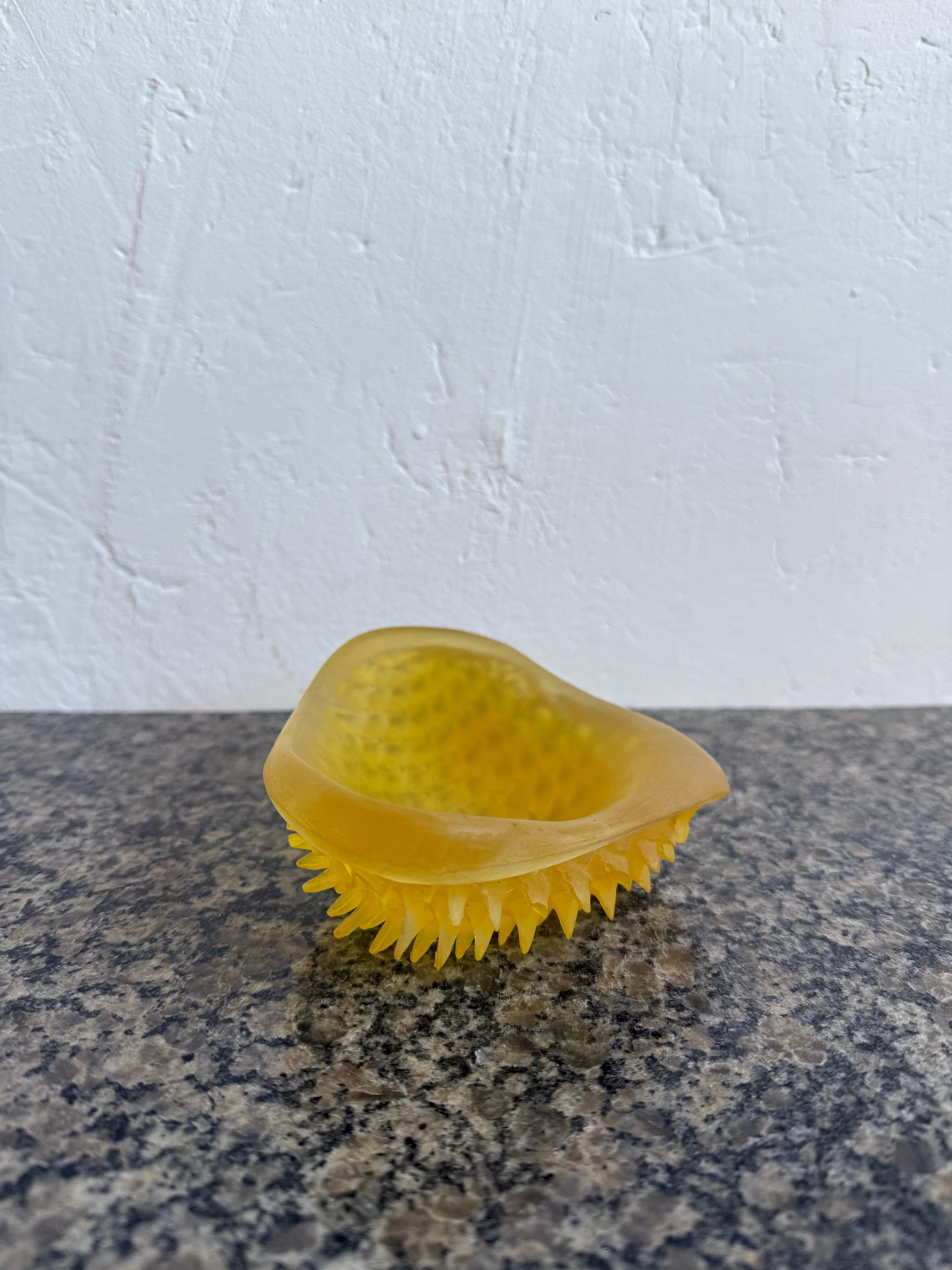 Acrilico Piatto di metà secolo brasiliano moderno in acrilico Catch All Dish Wish Scaly Underside in vendita