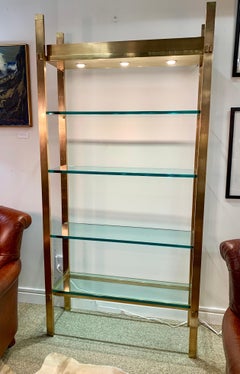 Midcentury Bronze and Glass Lighted Étagère Paul M. Jones Illuminated