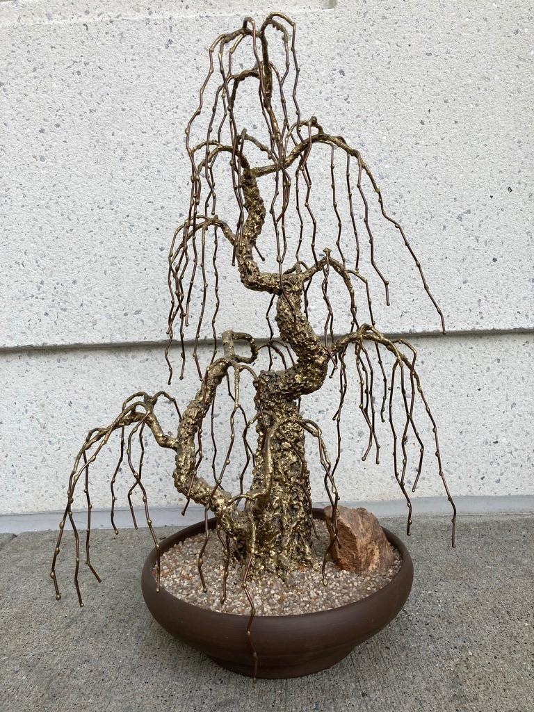 Beautiful and realistic bronze sculpture of a Japanese bonsai tree in winter. The bronze trunk with many wire branches, devoid of leaves, looking quite elegant. A weeping birch or beech tree. The base is ceramic filled with a rock and the sand