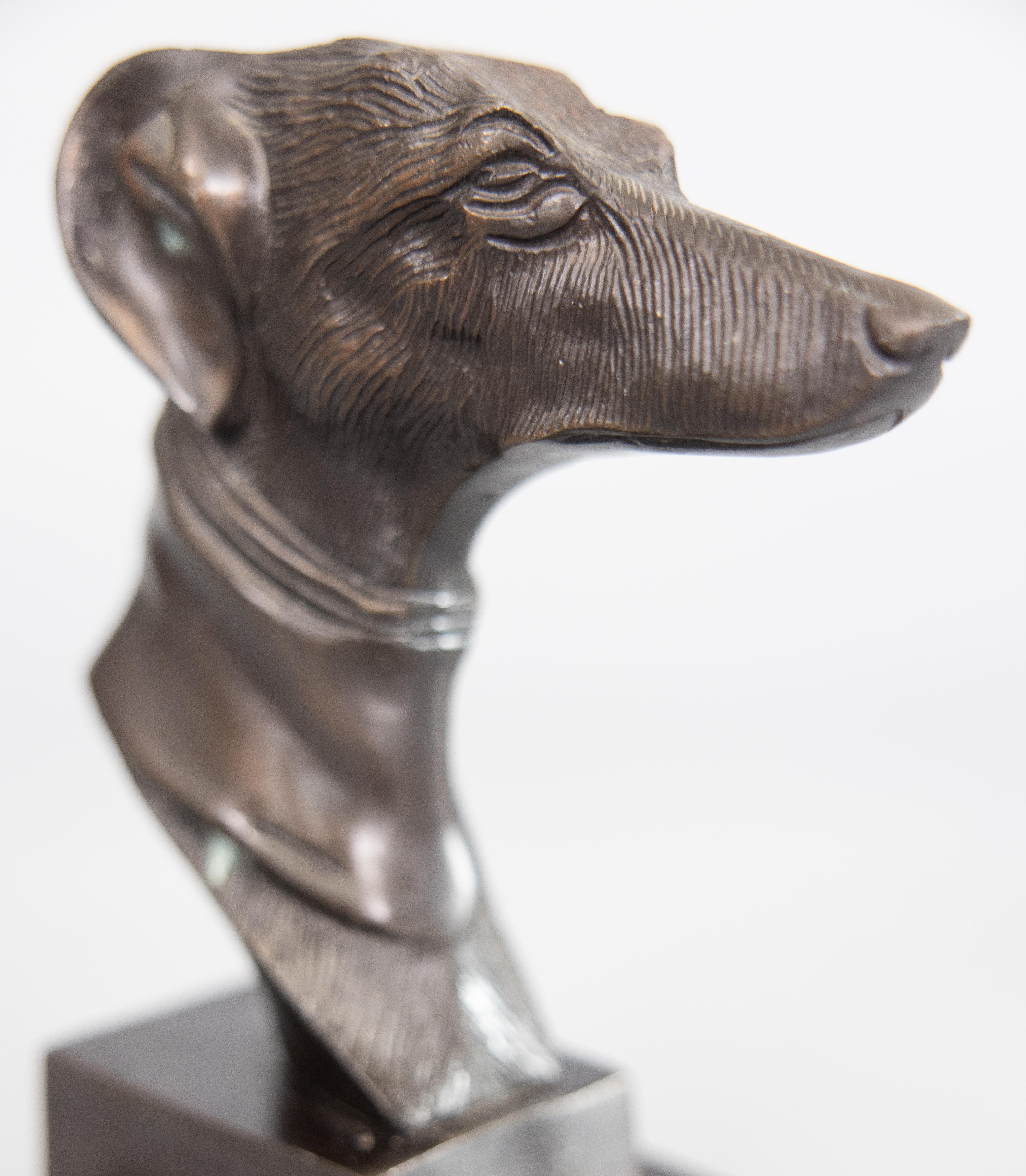 Mid-Century Bronze Greyhound Whippet Dog Bust Sculpture For Sale 1