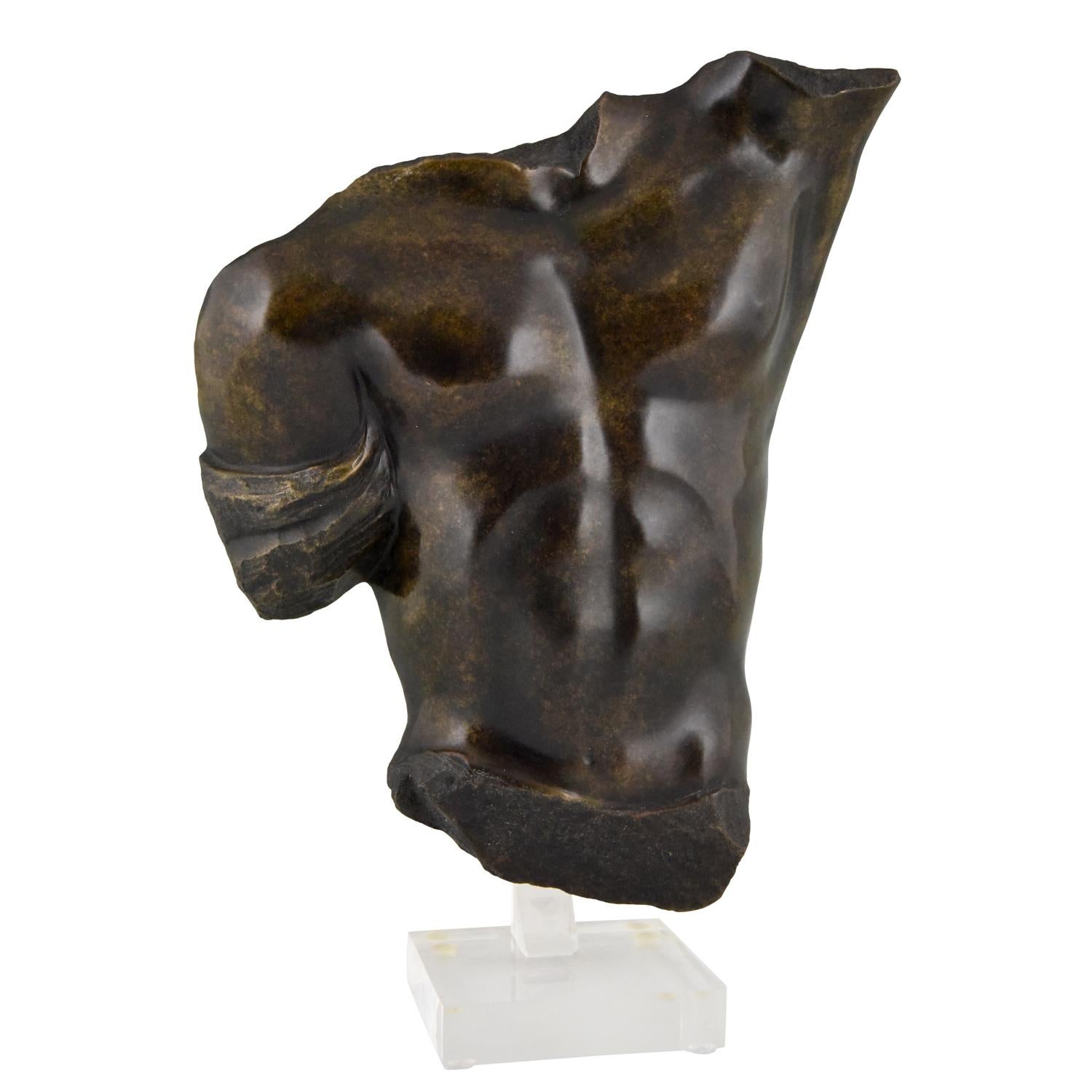 13.75 Inch Bronze Hue Figure Male Torso Artistic Display