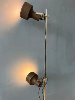 Mid Century Brown Anvia Floor Lamp, 1970s