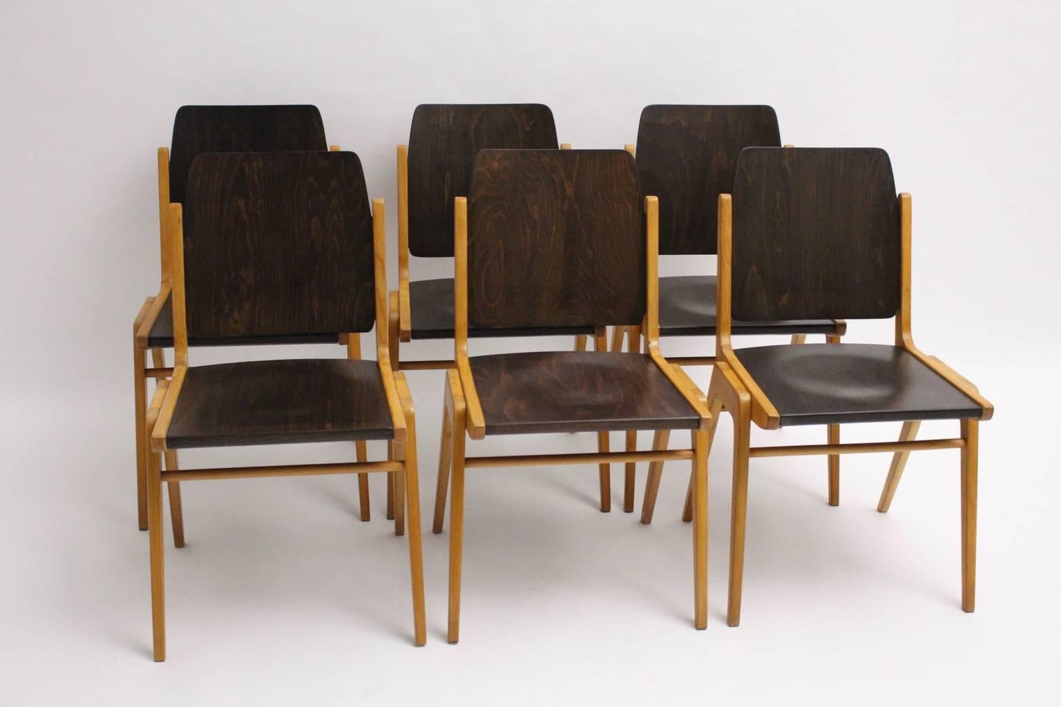 Mid Century Modern stackable bicolored dining room chairs or chairs designed by Franz Schuster (1892-192) for the Forum Stadtpark Graz 1959, model Austro Chairs, and executed by Wiesner, Hager Austria.
Franz Schuster was a famed Viennese designer
