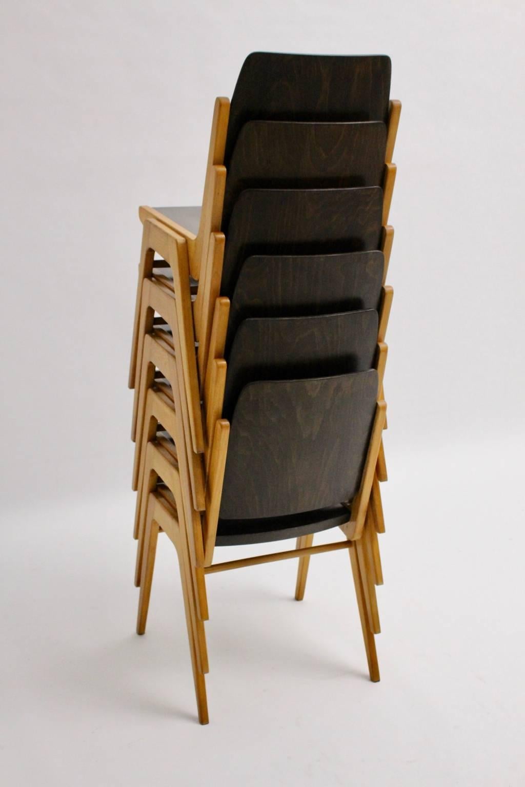 Esszimmerstühle aus brauner Buche aus der Mitte des Jahrhunderts Franz Schuster Wien 1959, Sechser-Set (Moderne der Mitte des Jahrhunderts)