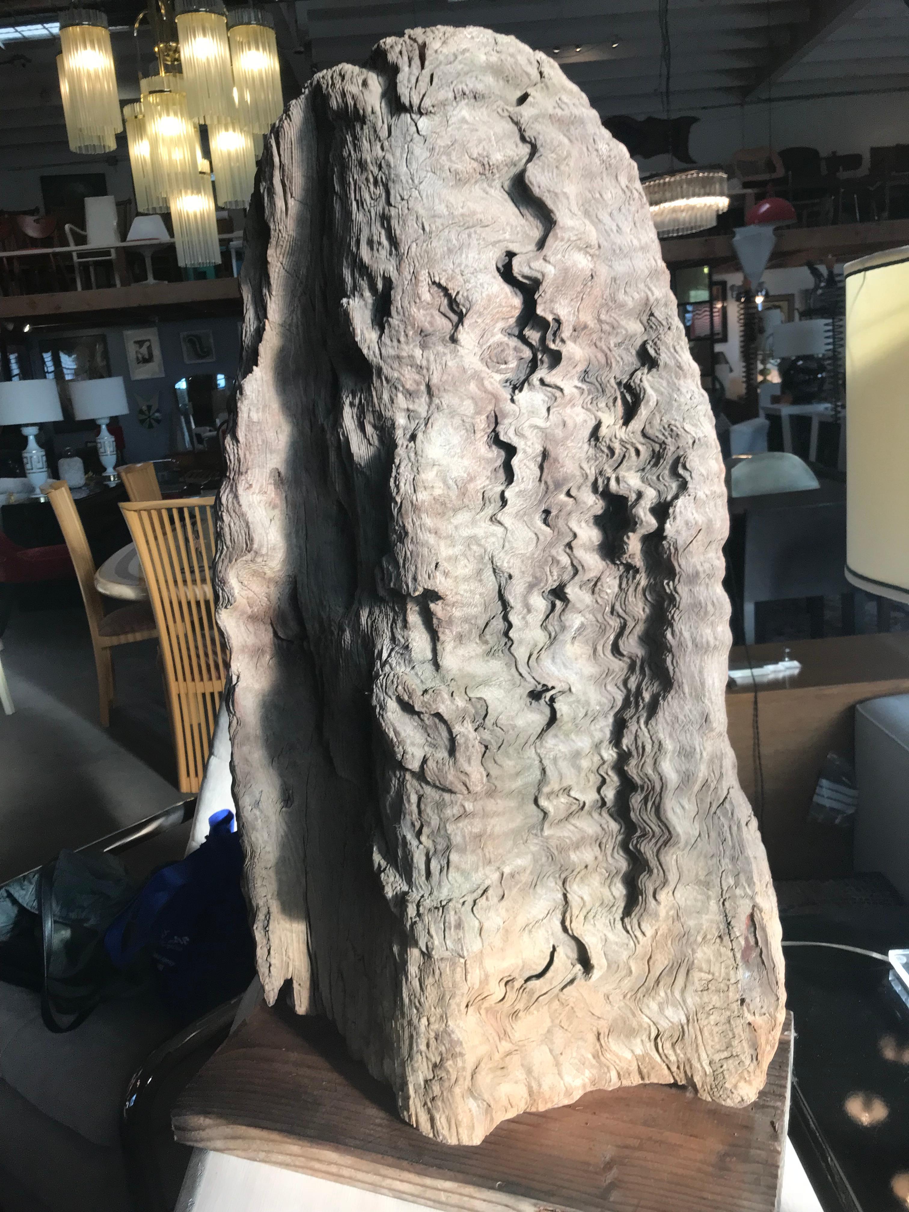 Stunning redwood burl sculpture, with beautiful details in the material, which gives the piece a timeless presence. One can observe eyes and facial features, with hair falling down the side of this abstract giant.
The piece rests on a pinewood base