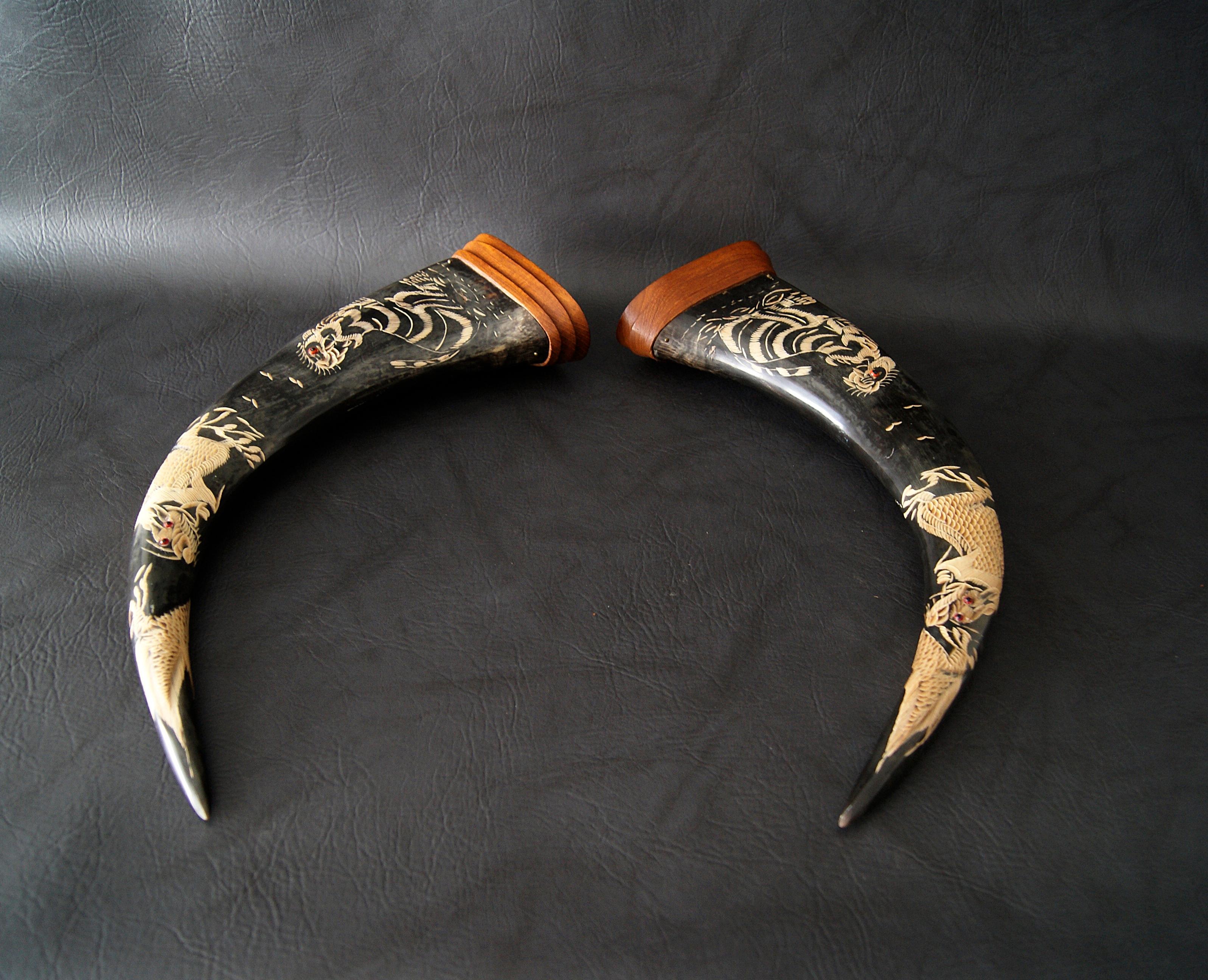 Mid-Century Modern Midcentury Buffalo Horns with Carvings, China, 1960