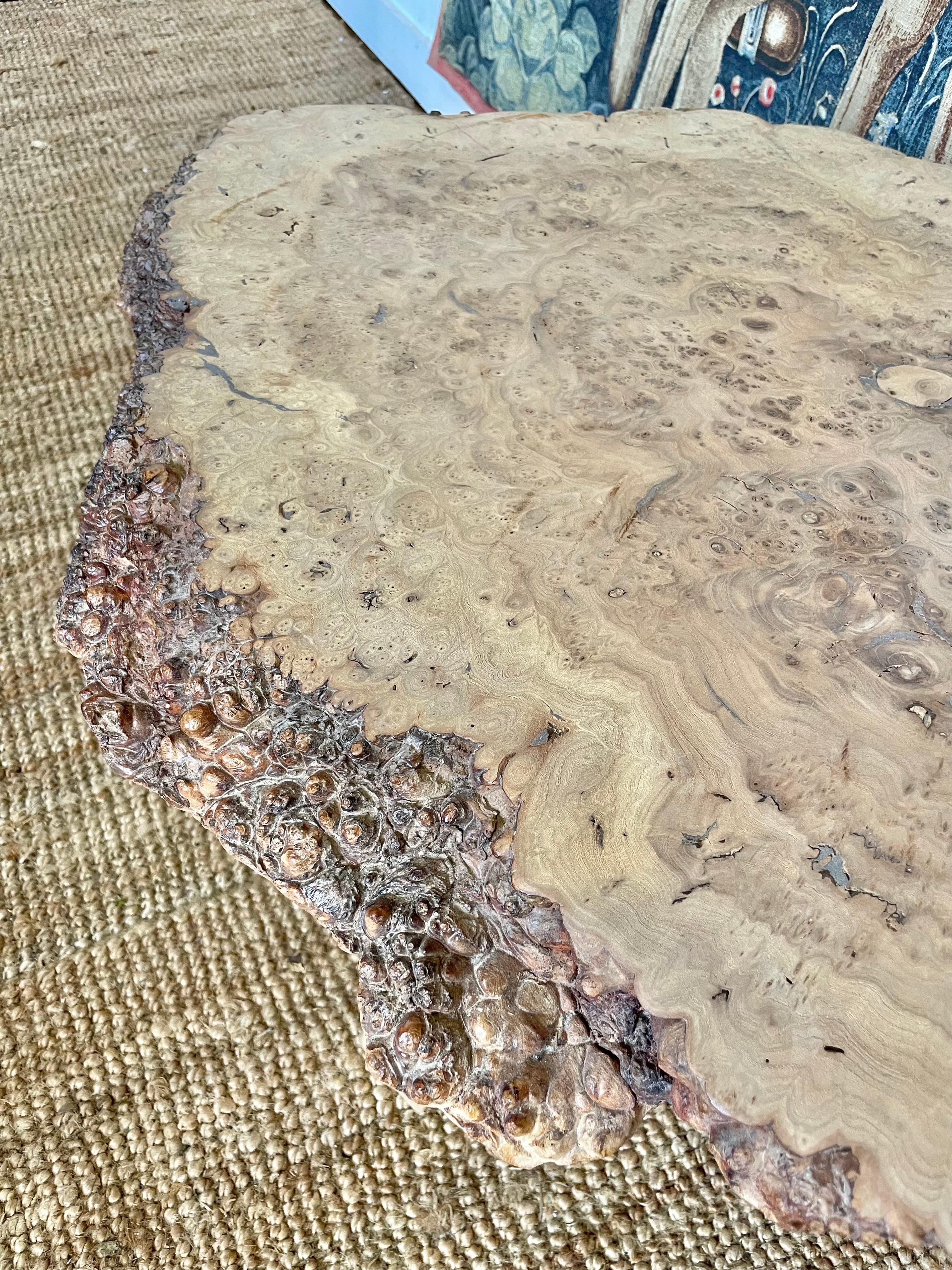 table basse loupe d'orme massif
