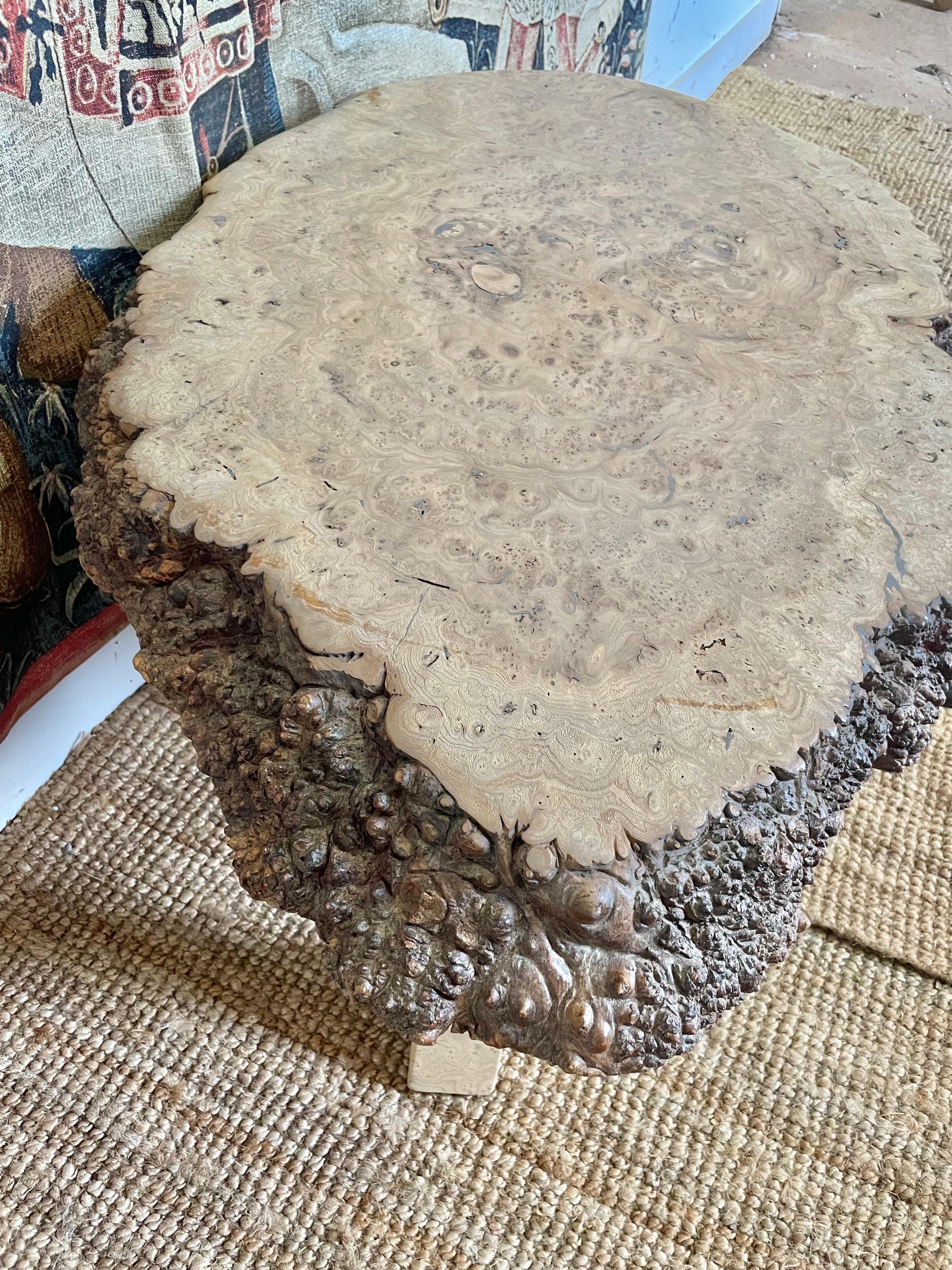 Table basse en loupe d'orme du milieu du siècle Bon état - En vente à Budleigh Salterton, GB