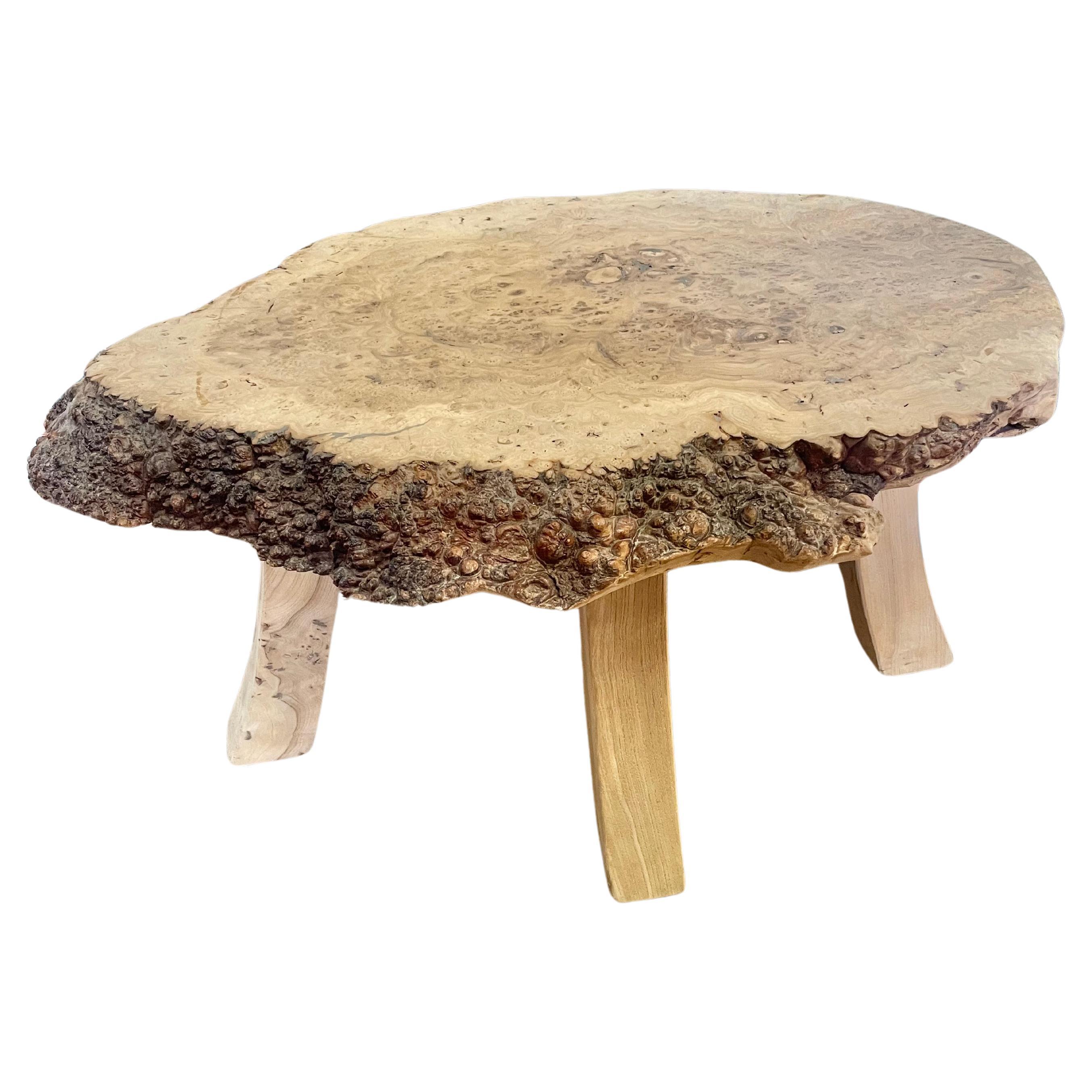 Table basse en loupe d'orme du milieu du siècle