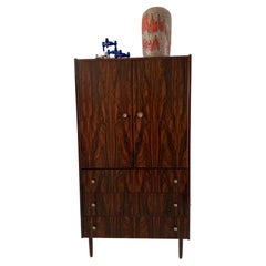 Vintage Mid-Century cabinet rosewood veneer, 1960’s