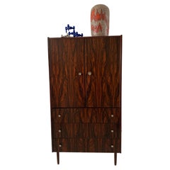 Mueble de mediados de siglo chapado en palisandro, años 60