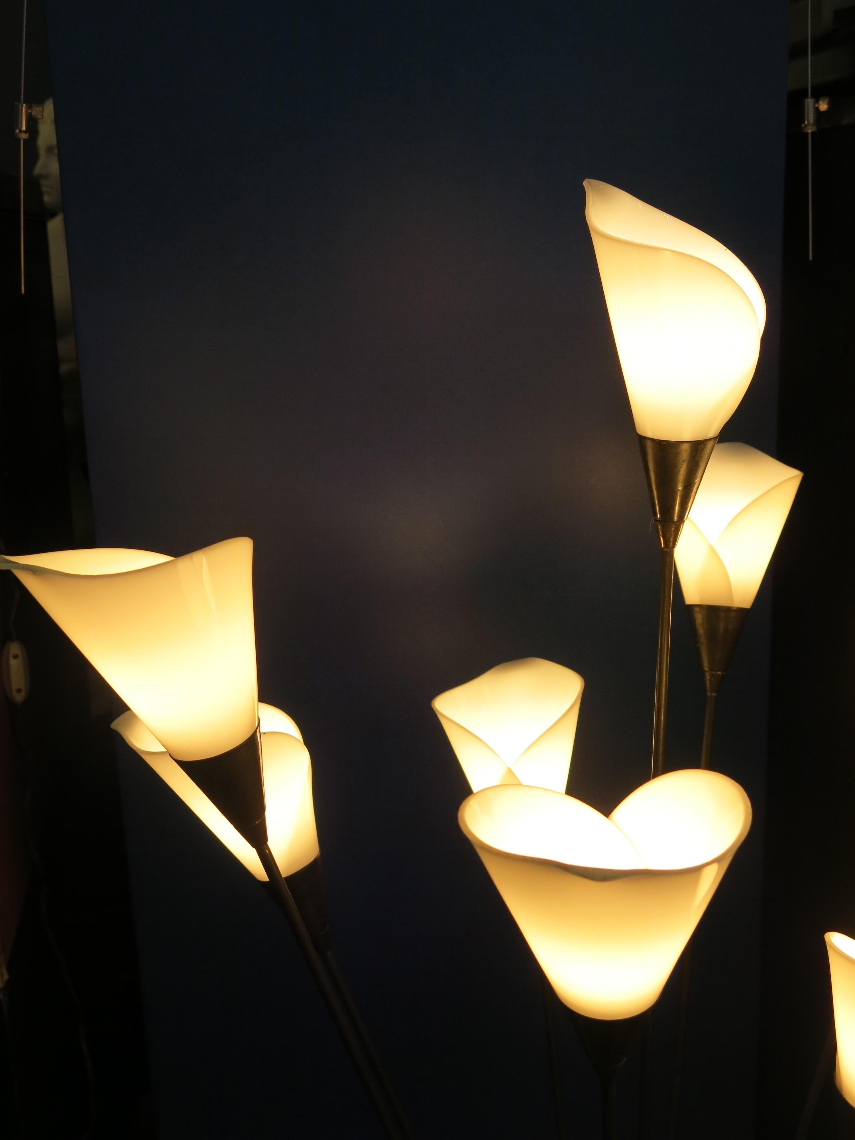 Stehlampe „Calla“ aus der Mitte des Jahrhunderts von Angelo Lelli für Arredoluce Monza, Italien, 1952 (Messing) im Angebot