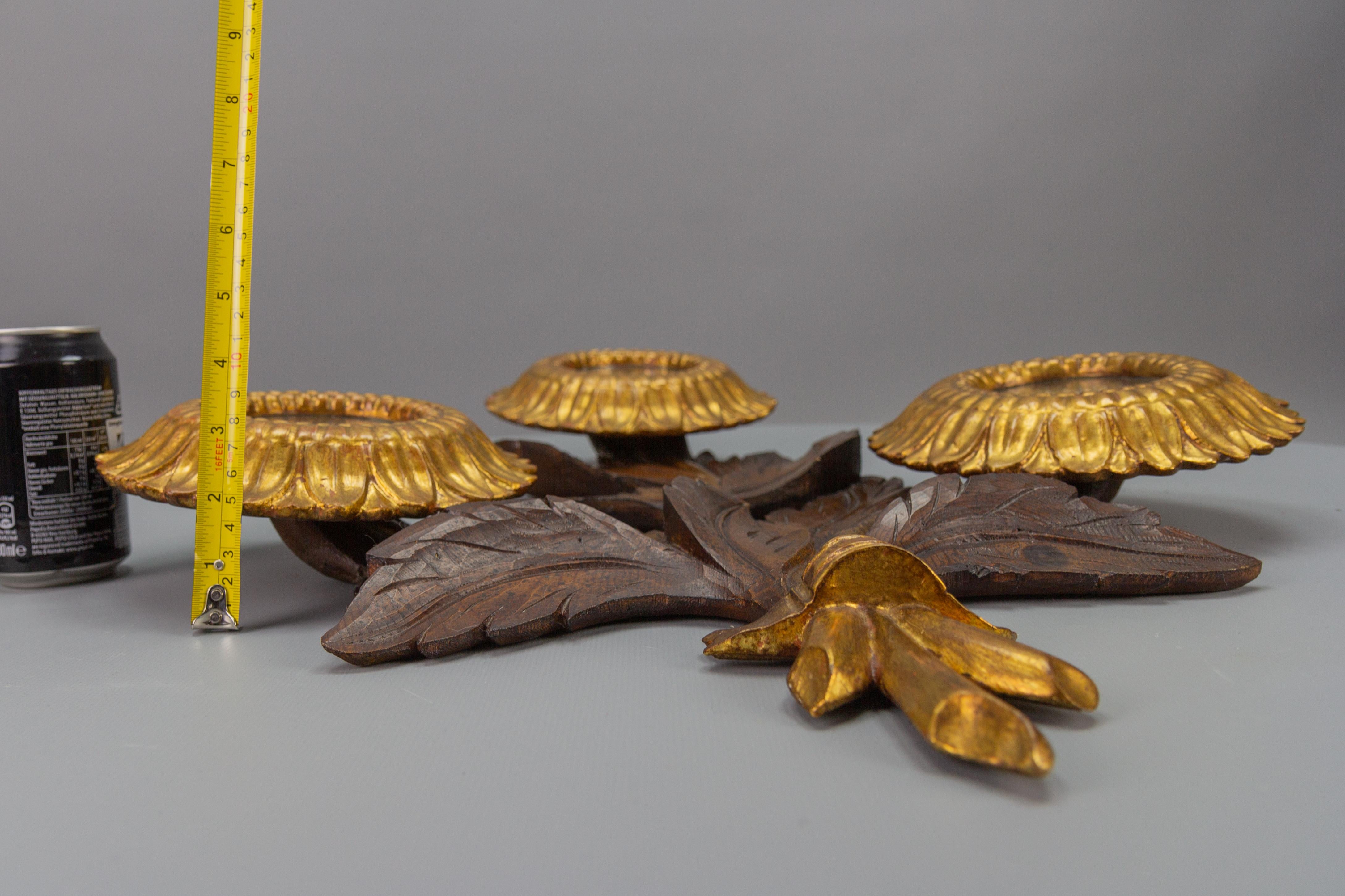 Mid-Century Carved Sunflower-Shaped Brown and Golden Wall Mirror, 1950s 12