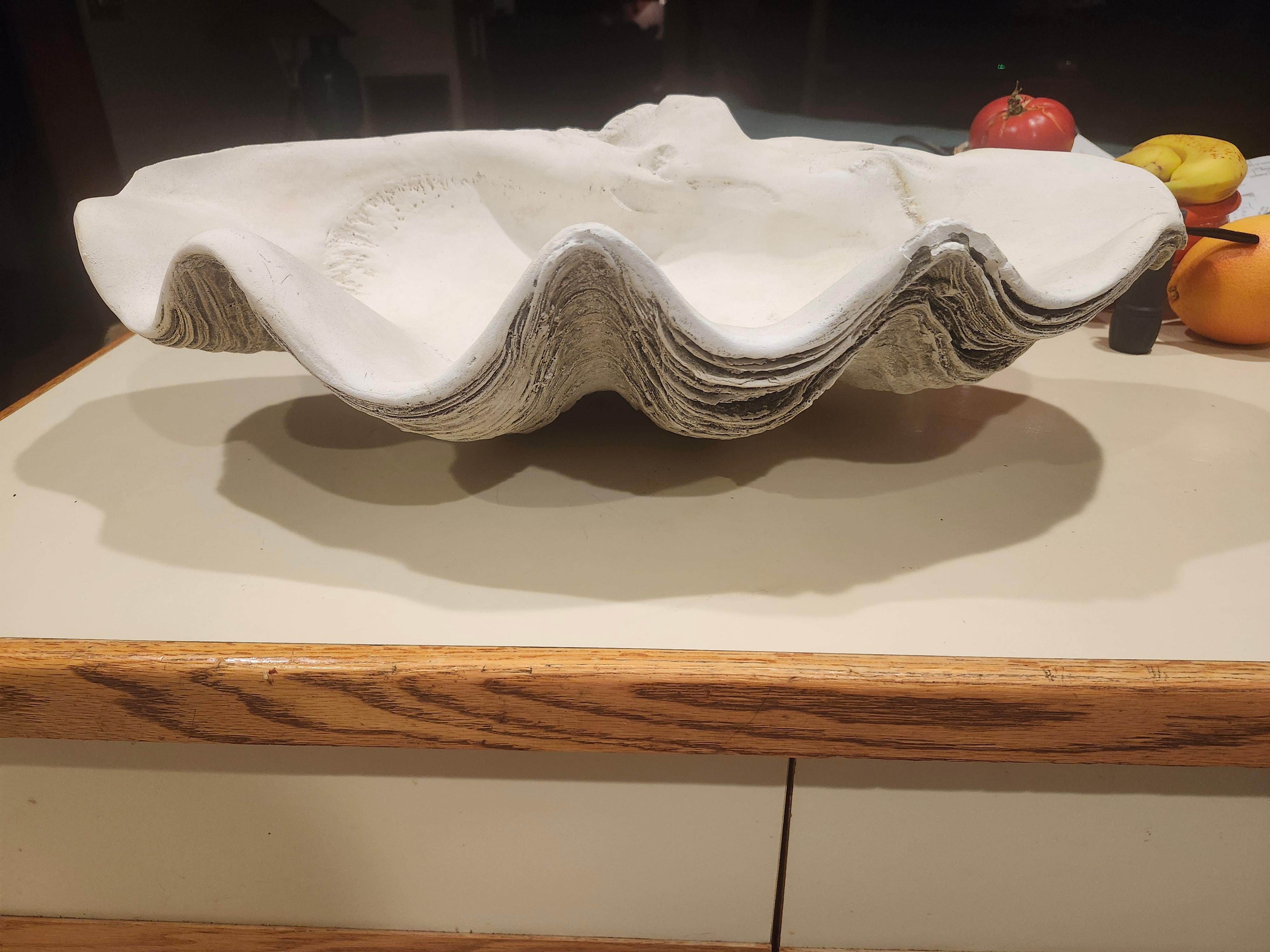 Mid Century Cast Plaster Sculptural Giant Clam 