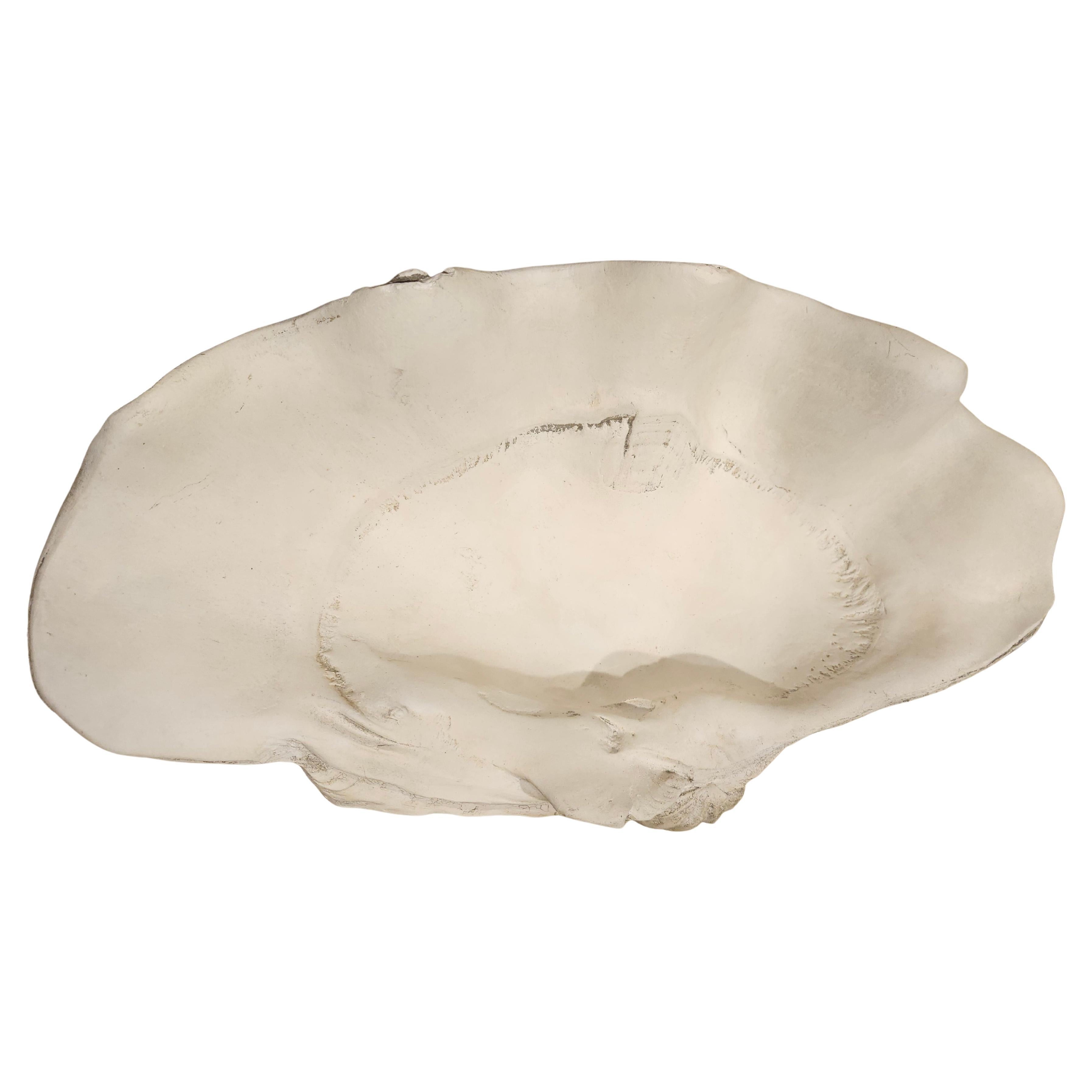 Fantastic and such a realistic example created from plaster. Large giant clam shell to be used in a decorative setting by itself in a minimalistic style or as a cornucopia with fruit/vegetable displayed. Its a beautiful object hand created using a