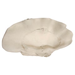 Mid Century Cast Plaster Sculptural Giant Clam "Tridacna" C1955"