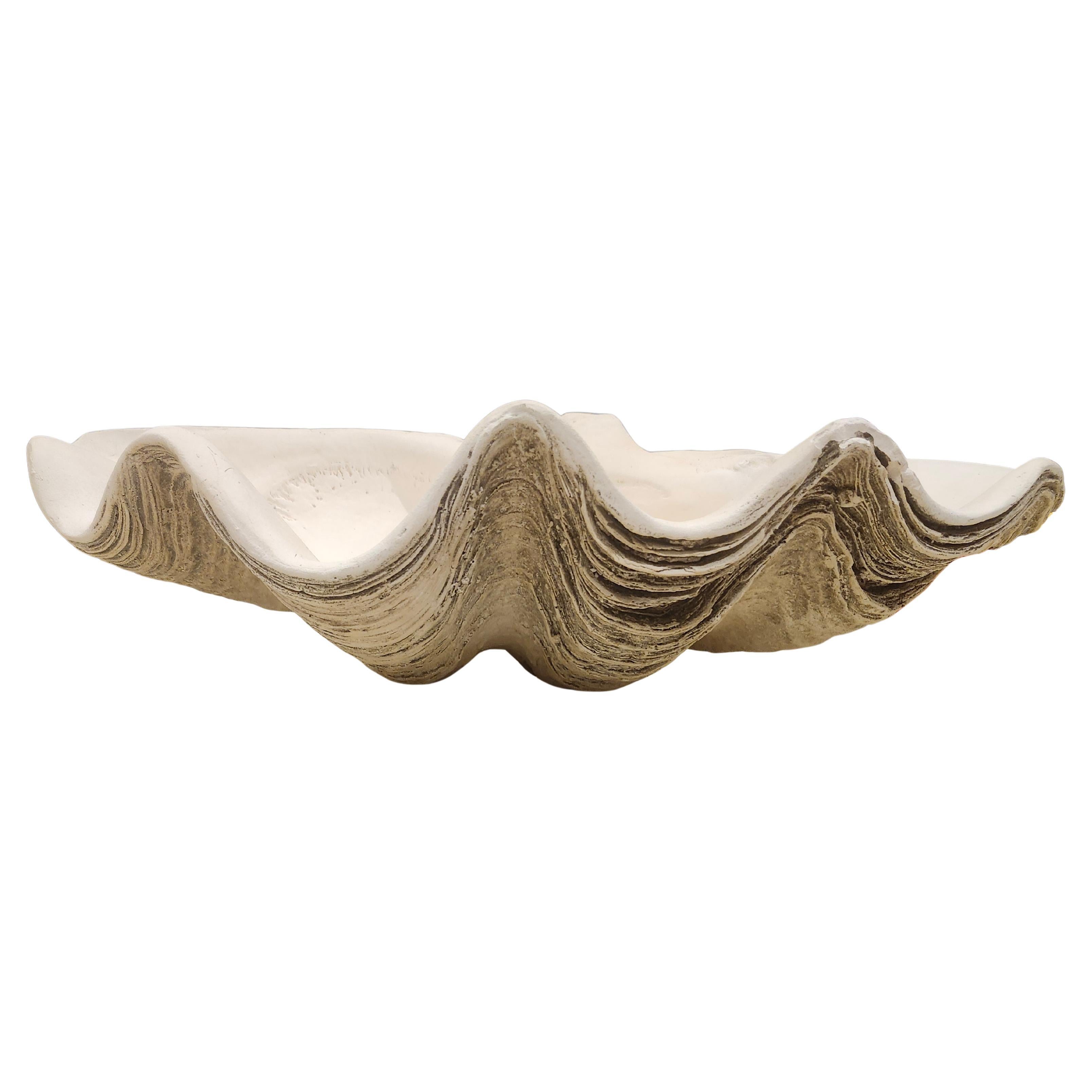 Mid Century Cast Plaster Sculptural Giant Clam 