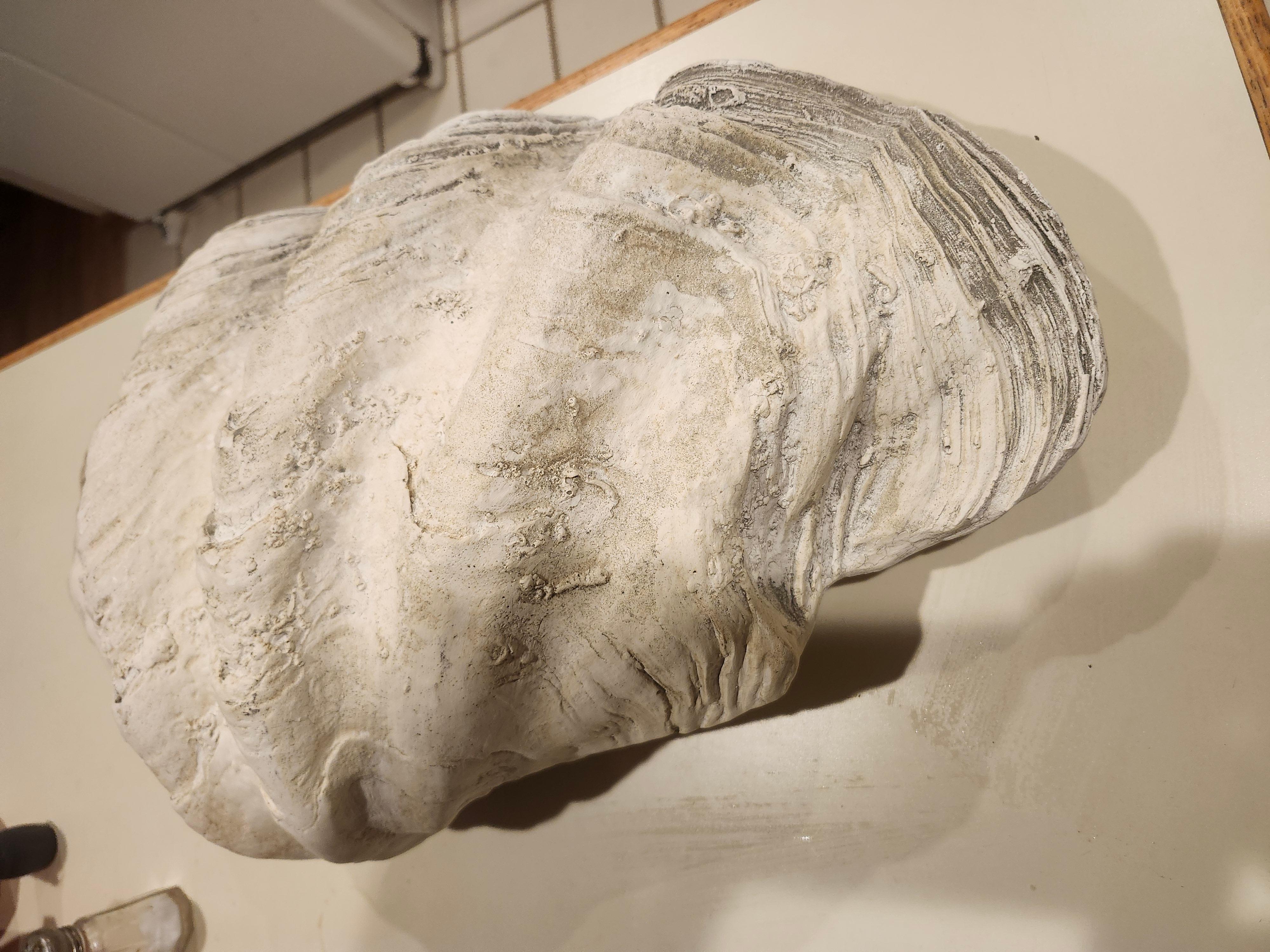 Mid Century Cast Plaster Sculptural Giant Clam 