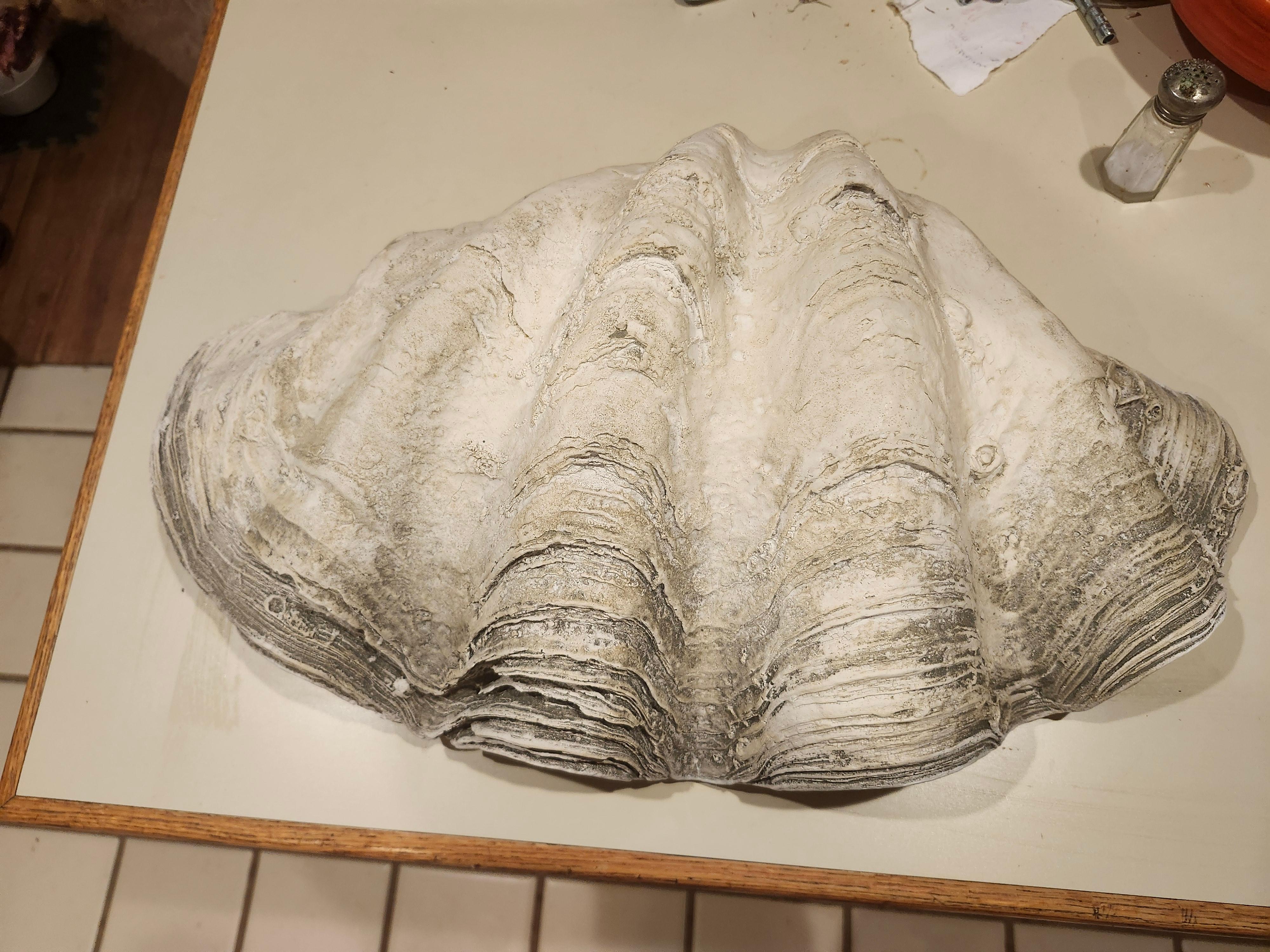 Mid Century Cast Plaster Sculptural Giant Clam 