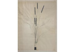 Mid Century Cattail Drawing by Bruce Dorfman (Am. born 1936)