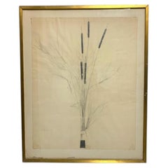Mid Century Cattail Drawing by Bruce Dorfman (Am. born 1936)