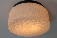 Midcentury Ceiling or Wall Scones with "Brain" Structured Opaline Glass, 1960s