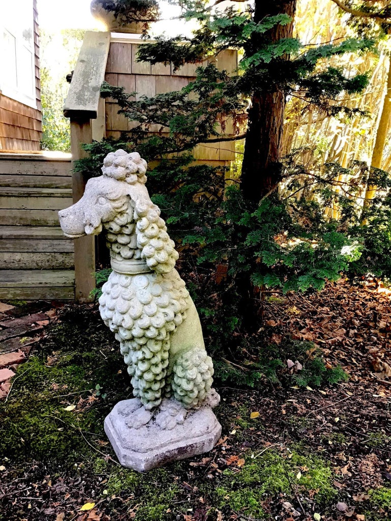 French Poodle Mid Century Garden Statue Cement Dog Vintage at 1stDibs