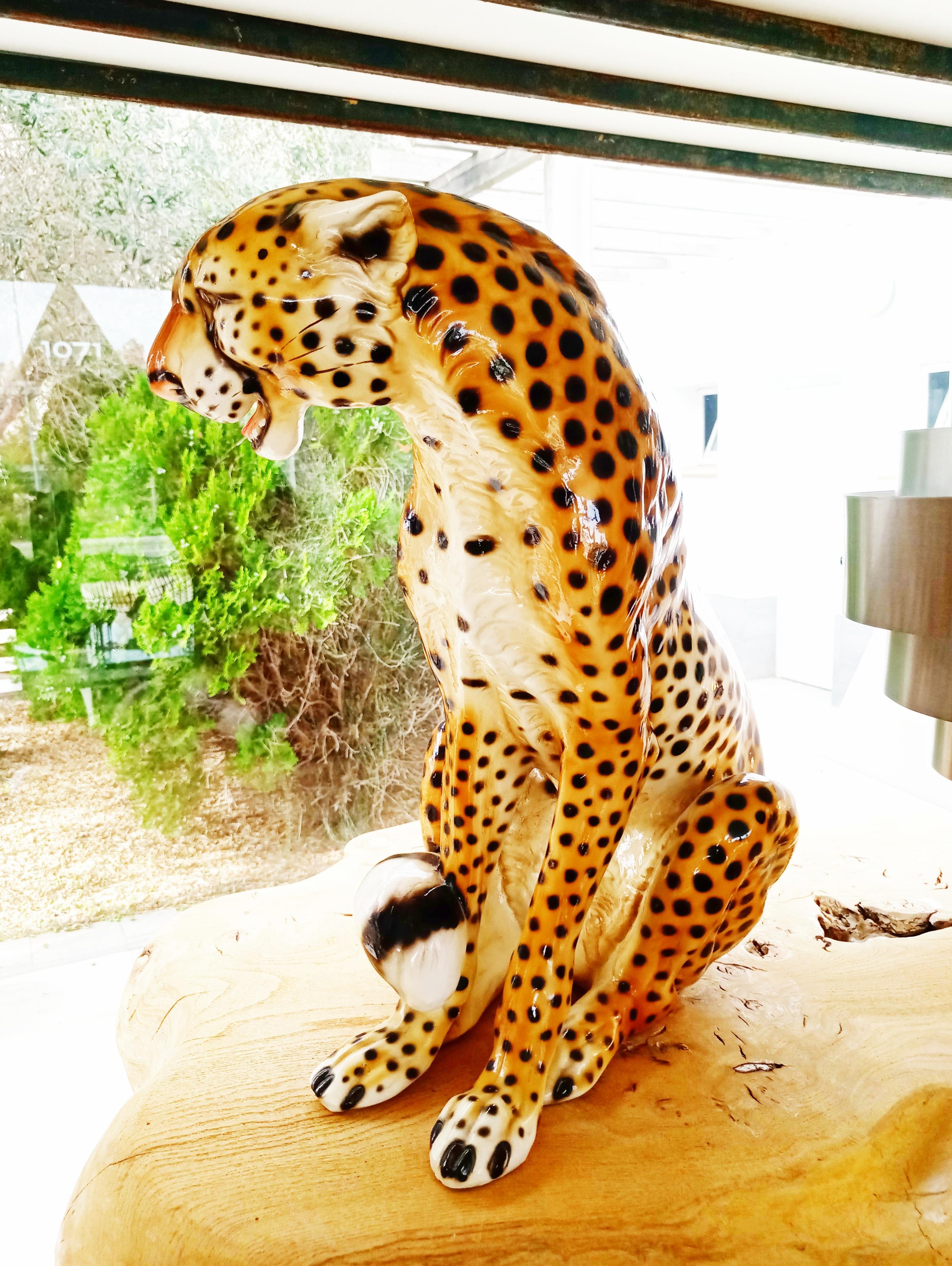 Mid-Century Ceramic Cheetah Leopard Sculpture, Italy, 1960s 1