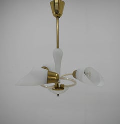 Mid-Century Chandelier, 1950s