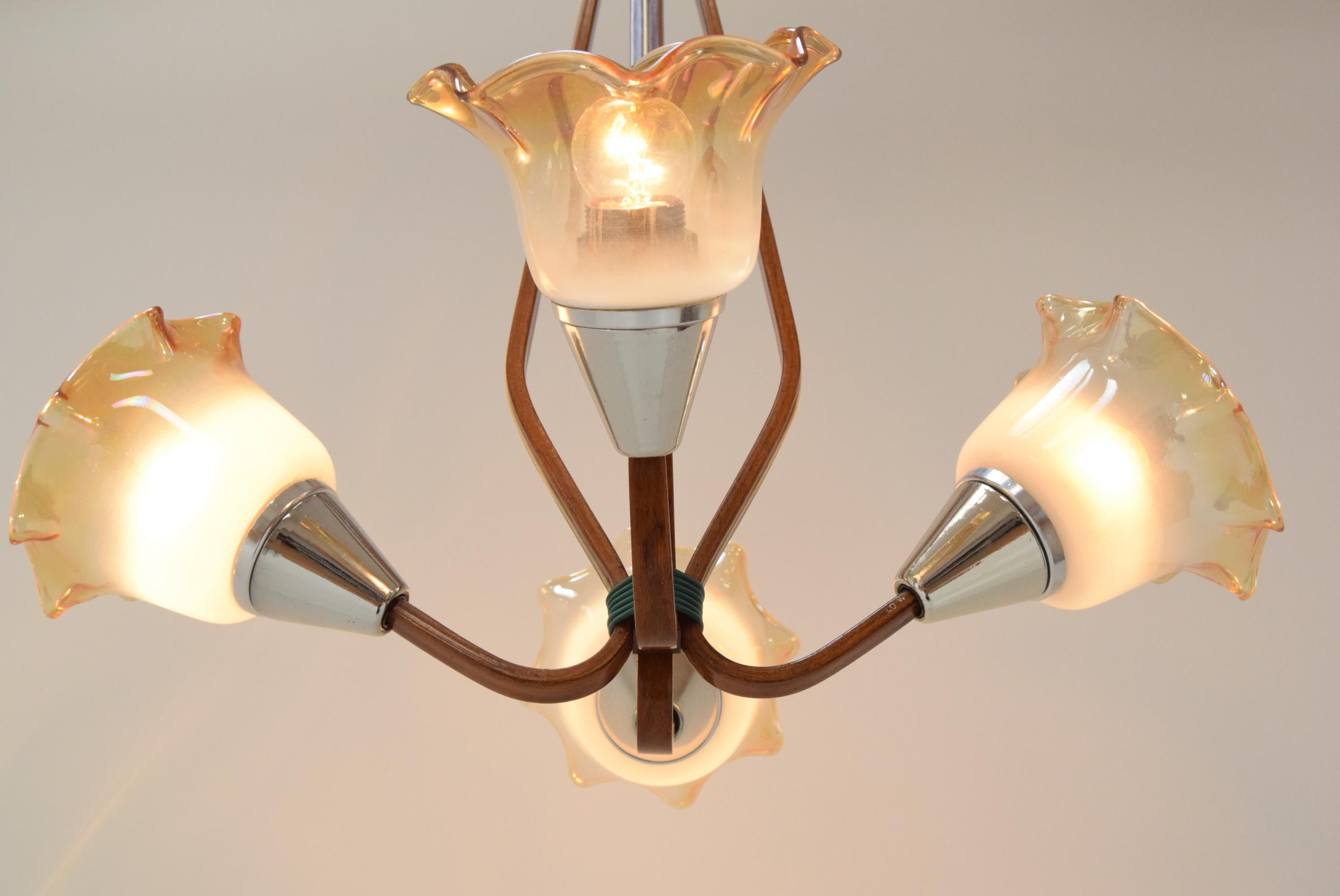 Lampadario di metà secolo, 1960 in vendita 9