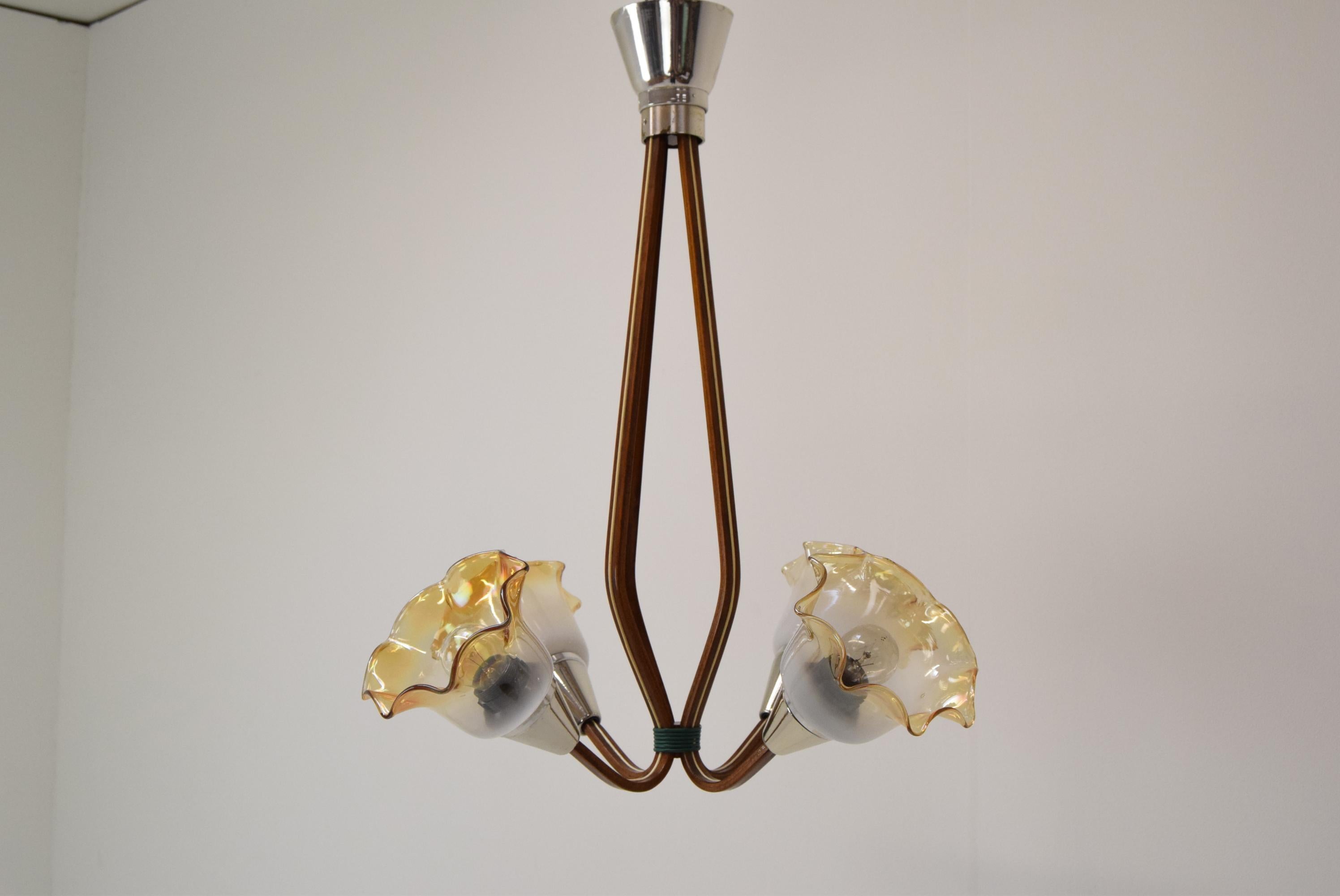 Mid-Century moderno Lampadario di metà secolo, 1960 in vendita