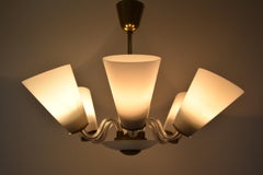 Mid-Century Chandelier/Kamenicky Senov, 1960's