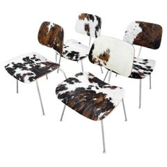 Mid- Century Charles and Ray Eames DCM Chairs in Original Cowhide, Set of Four