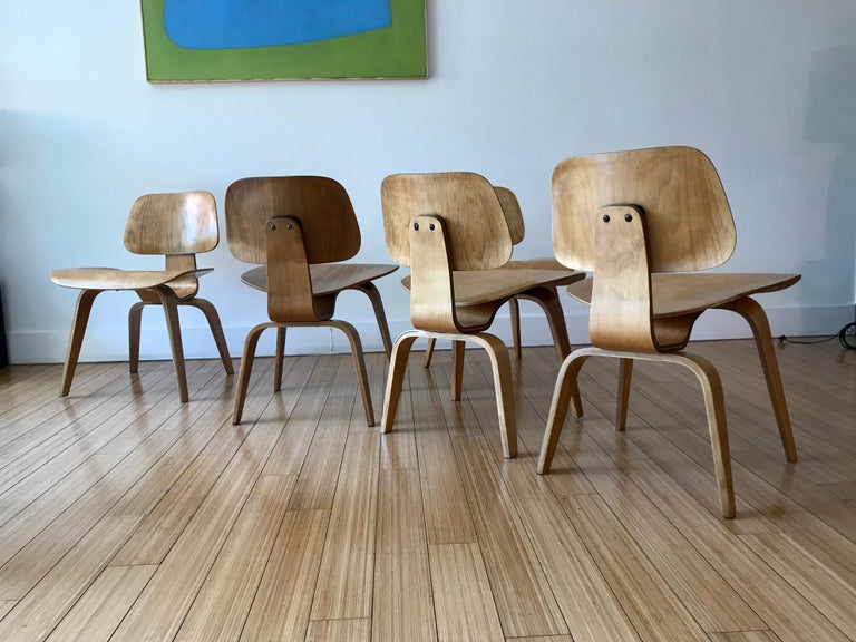 Charles + Ray Eames Six DCW Chairs For Sale 11