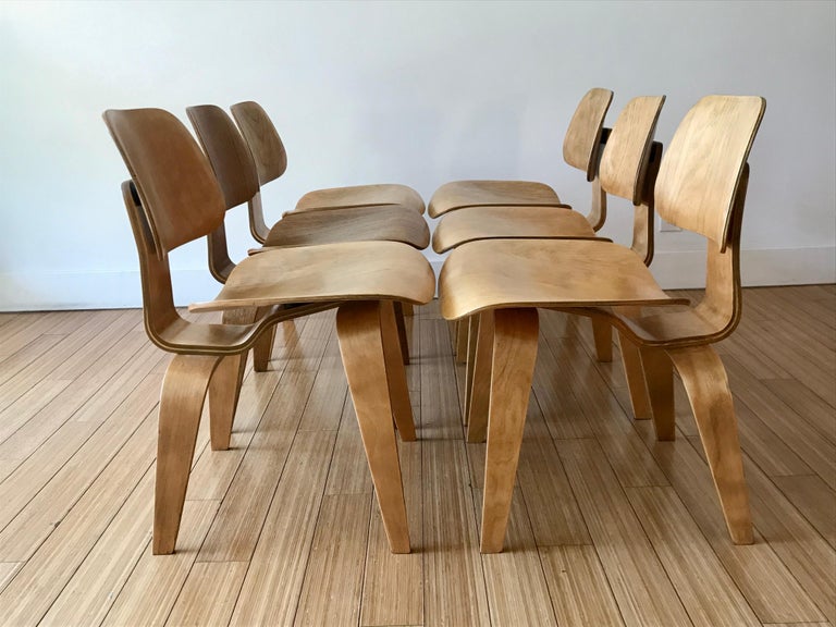 Wood Charles + Ray Eames Six DCW Chairs For Sale