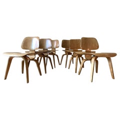 Charles + Ray Eames Six DCW Chairs