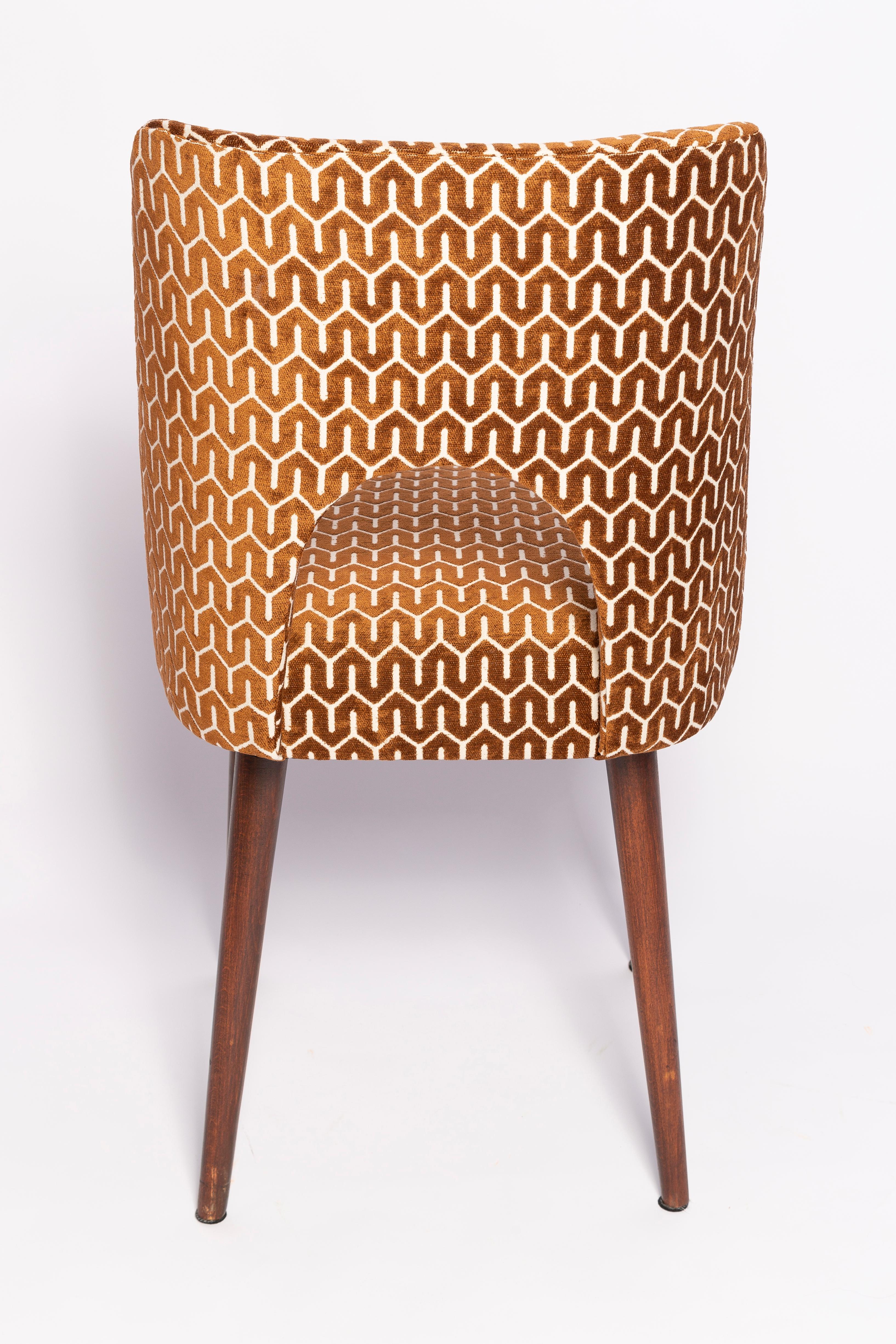 Mid-Century Chocolate Brown 'Shell' Chair, Europe, 1960s For Sale 3