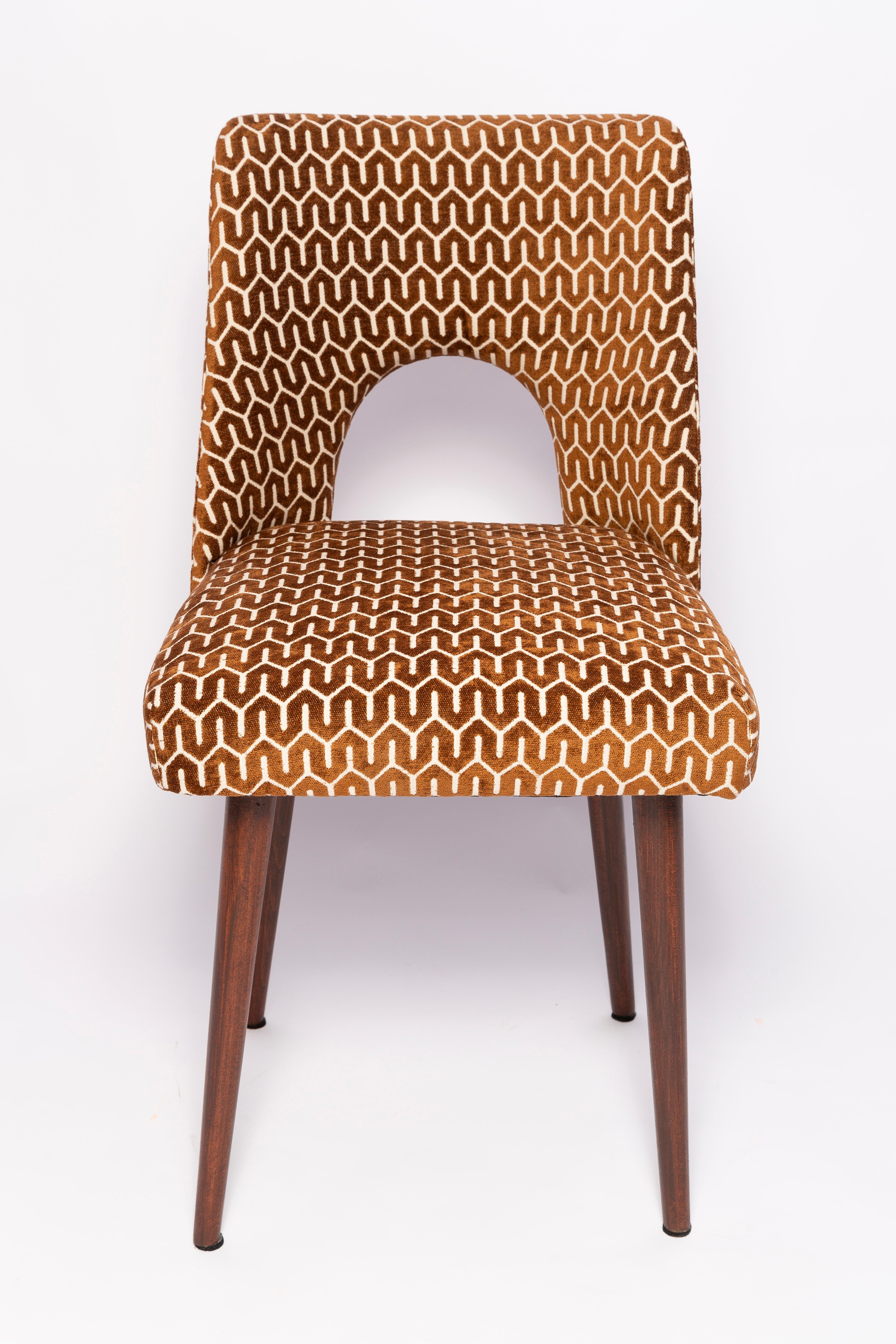 Mid-Century Chocolate Brown 'Shell' Chair, Europe, 1960s For Sale 4