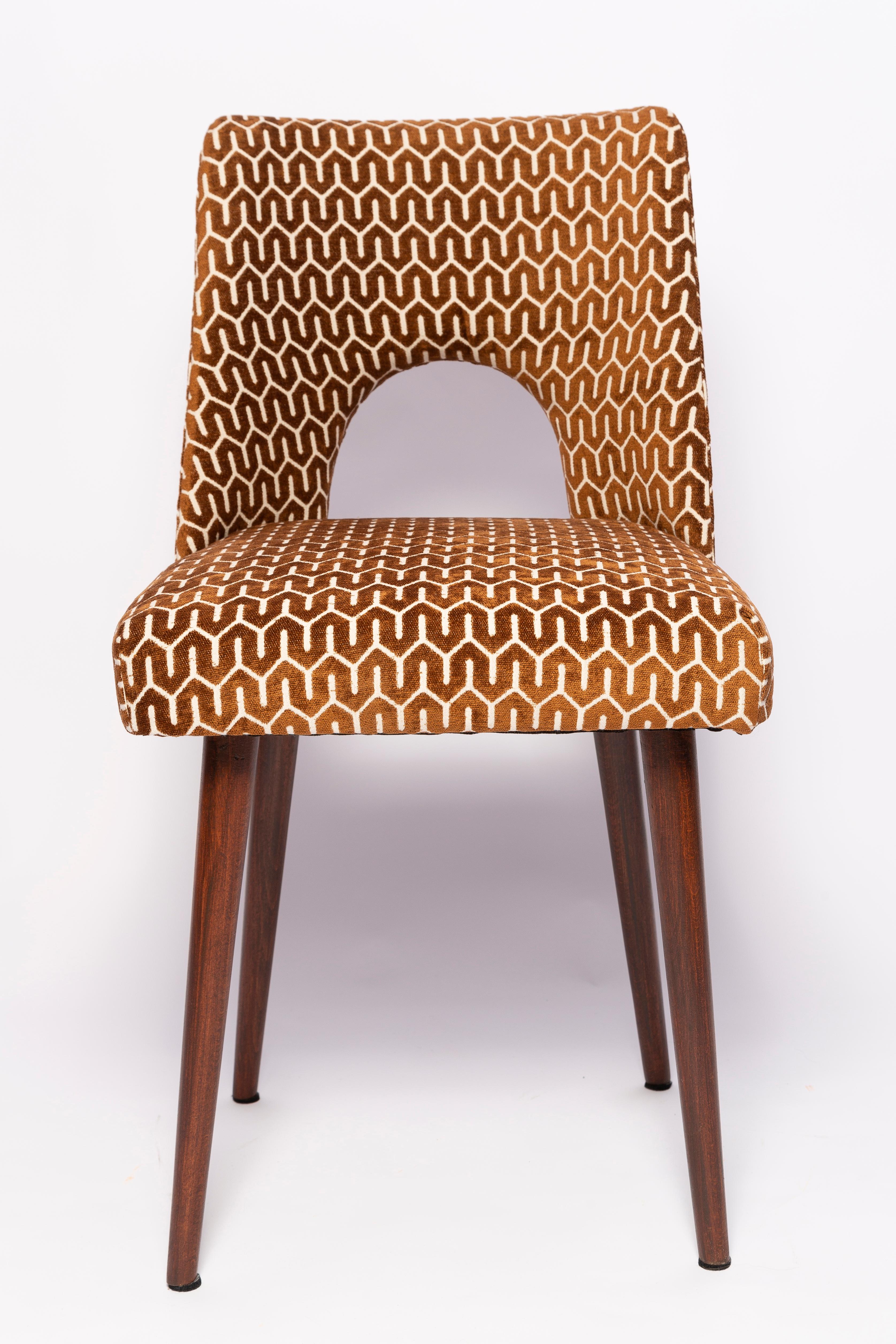 Mid-Century Chocolate Brown 'Shell' Chair, Europe, 1960s For Sale 5