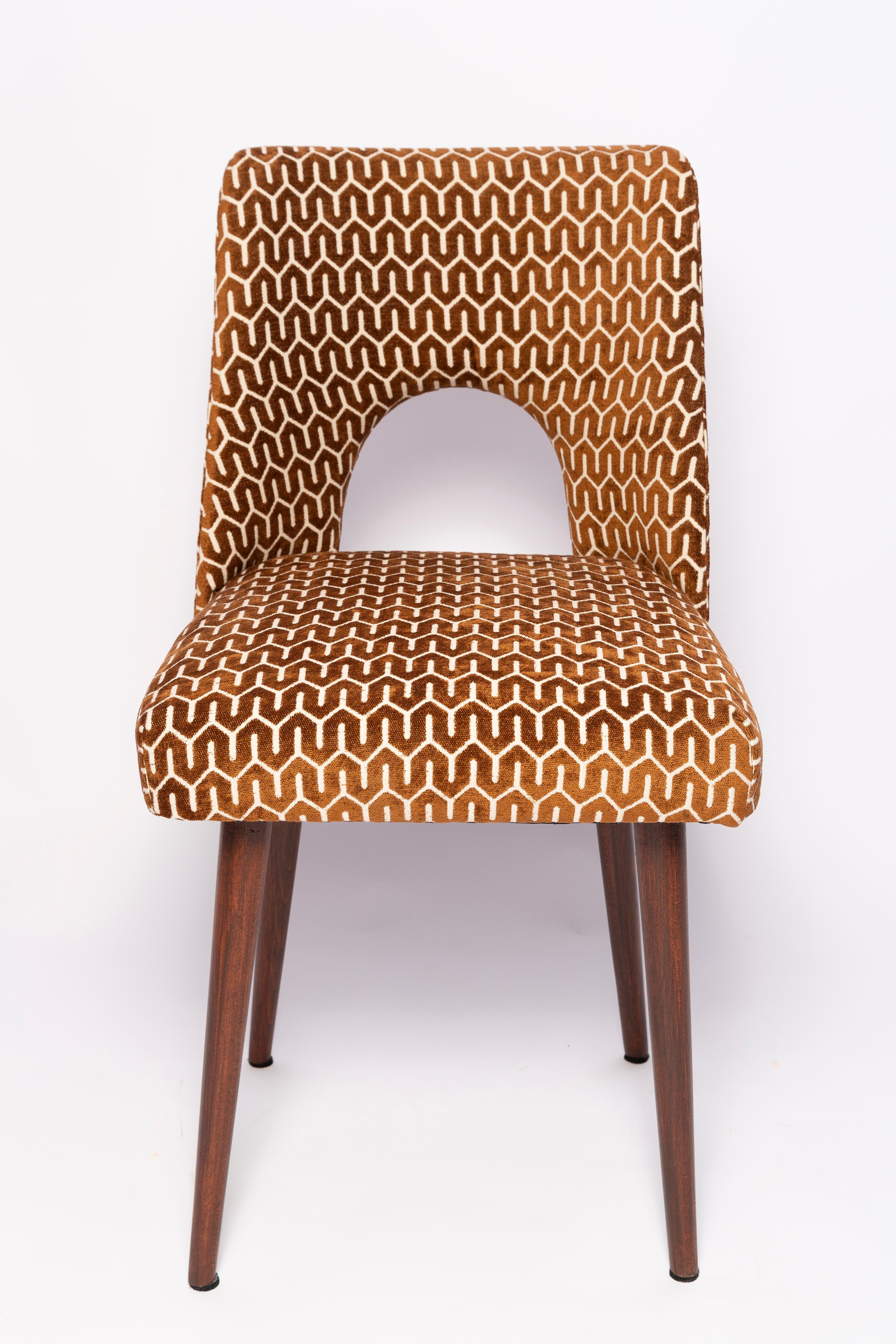 Mid-Century Chocolate Brown 'Shell' Chair, Europe, 1960s For Sale 6